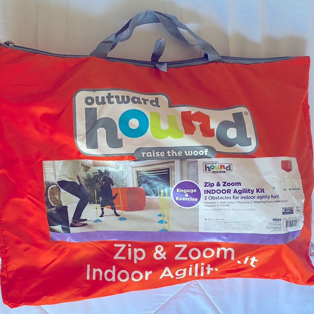 Indoor Dog Agility Course